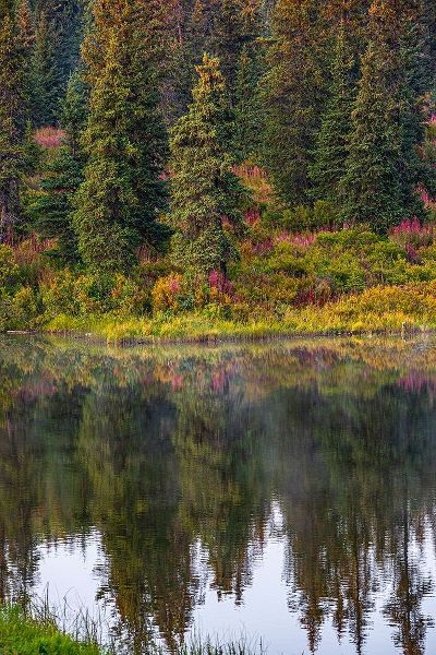 Homer-Alaska-autumn-fireweed